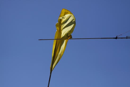 _MG_8877.jpg